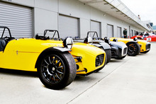 A gleaming row of Frasers line up for a race day. Photo / Phil Hanson 