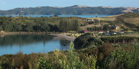 Rotoroa Island. Photo / Supplied