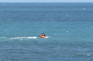 Police prepare to shoot a shark after the fatal attack on a swimmer at Muriwai Beach. Photo / Tracy Howarth