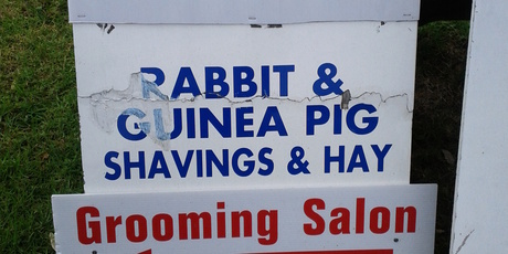 Maree saw this sign while out walking her dog in Howick....seems needlessly cruel!