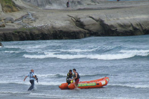Police prepare to shoot a shark after a fatal attack on a swimmer at Muriwai Beach. Photo / Supplied