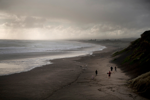 Muriwai Beach on Auckland's west coast. Photo / Dean Purcell