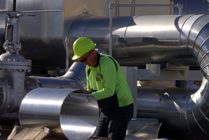 A bid to settle Treaty claims before a Mighty River sale has failed. Photo / APN