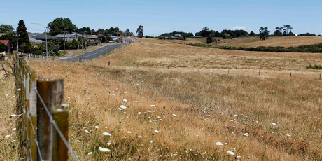 A dry paddock on Baverstock Rd, Hamilton. Photo / Christine Cornege