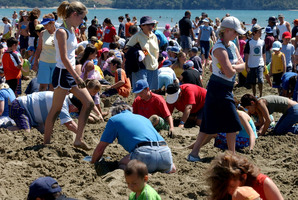 Auckland Council says it would have accepted three portable toilets for the Big Dig but was too late communicating this to the Orewa Lions Club. Photo / Dean Purcell
