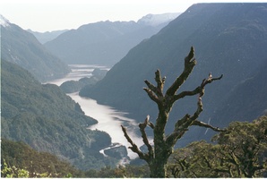 Lake Manapouri, where a man survived a 15m fall from the top of a waterfall.Photo / Kenny Rodger