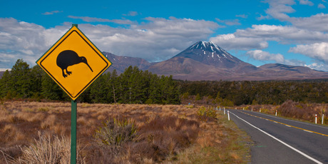 Photo / NZ Herald