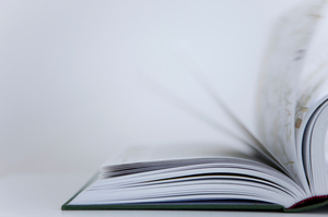 Photo / Thinkstock