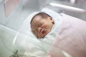 Photo / Thinkstock