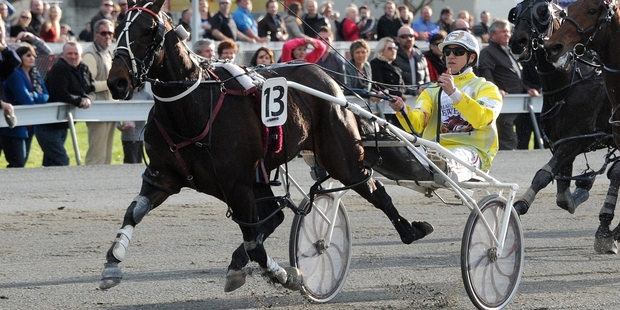 Christen Me should romp home at Cambridge tonight and set a reasonable time over the flying mile. Photo / Race Images