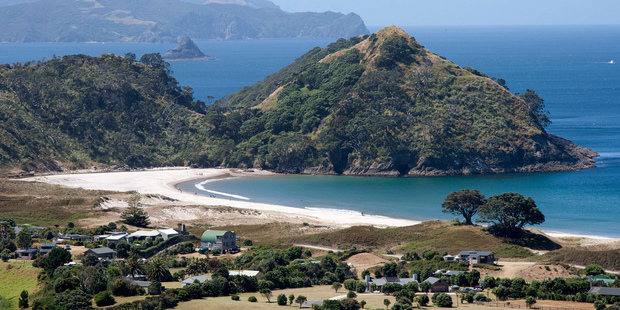 These houses on Great Barrier Island have been built with a generous setback from the coastal margin, retaining much of the natural character of the beach.