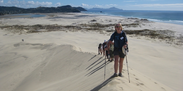 The volunteer guides have thoroughly prepared their walks.