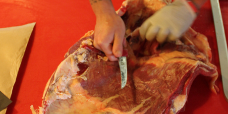 Trimming the flank and separating the skirt cuts.