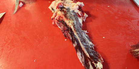 The filled (untrimmed).