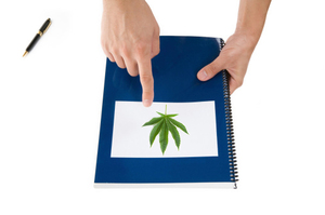 Somebody who was caught with a book about growing cannabis faces a tougher sentence than somebody who was actually grown the plant, under a proposed new law. File photo / NZ Herald