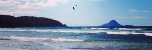 Ohope Beach