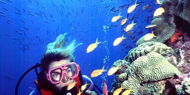 The proposed dumping will be 40km from the reef, close enough, say conservationists, to pose a threat. Photo / AP