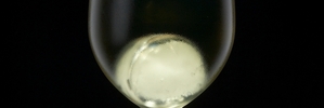 Yvonne Lorkin: Ice cubes in wine