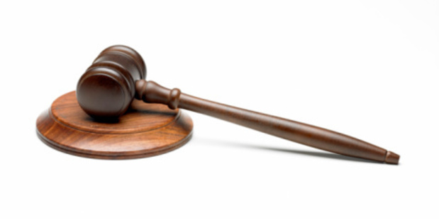 Judge Craig Thompson found the council's stand on genetic engineering justified. Photo/Thinkstock