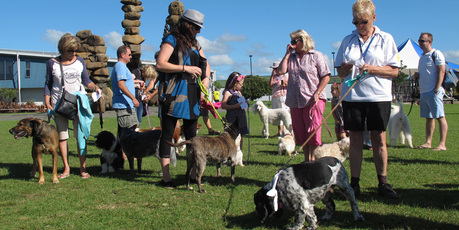 http://media.nzherald.co.nz/webcontent/image/jpg/201410/PD080314NADMUTLEY04_LR_460x230.jpg