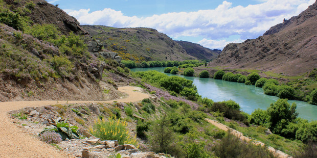 The Roxburgh Gorge Bike Trail follows the Clutha River. Photo / Cameron Photography