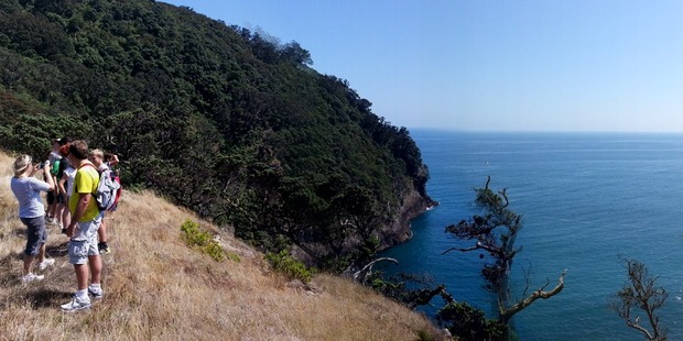 The view from the saddle at Moutohora, or Whale Island.