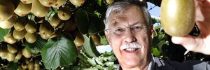 New Zealand Kiwifruit Growers president Neil Trebilco and the Gold 3 variety that holds so much promise. Photo/George Novak