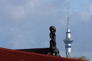 Photo / NZ Herald