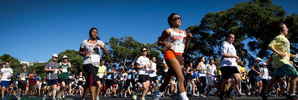 Over 40,000 people took part in Round the Bays in 2013. Photo: Sarah Ivey.