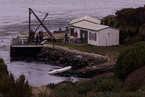 Beeman base wharf, Perseverance Harbour Campbell Island. Photo / Richard Robinson