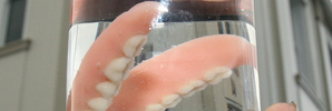 Fluoride debate back on agenda