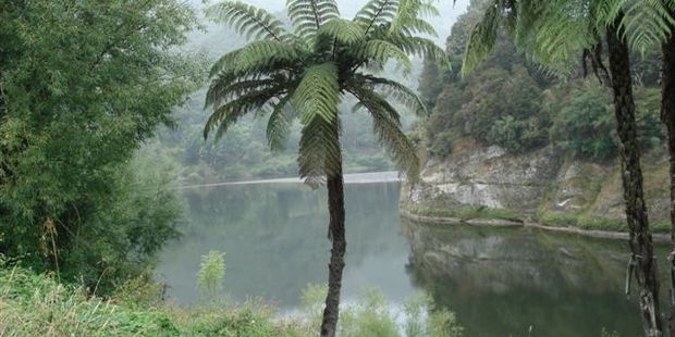 A man has reportedly gone missing in the Whanganui River. File photo / APN