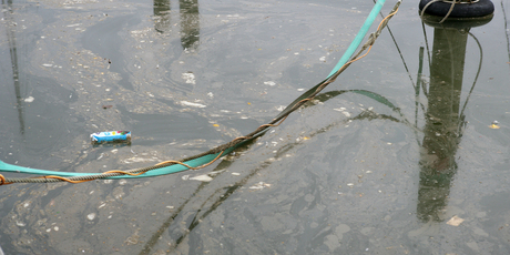 The scum on the surface of the Hatea River is not pollution but a naturally occurring by-product of riverbank life. Photo / Ron Burgin