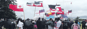 Waitangi Day Tells Us, What Exactly?