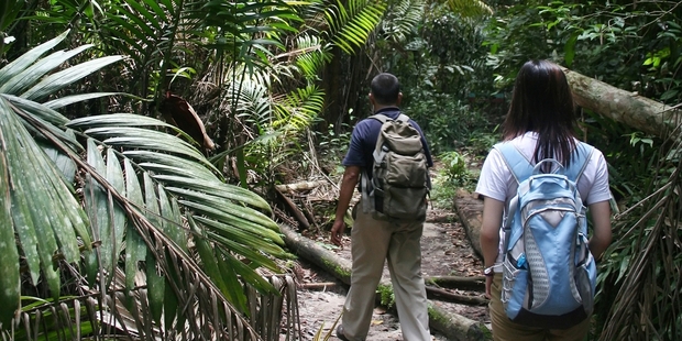Jungle treks make an exciting adventure, or you can just relax at the beach.