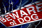 Small children should never be left alone with dogs. Photo/Thinkstock Small children should never be left alone with dogs. Photo/Thinkstock