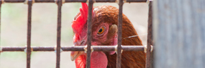 File photo / Thinkstock