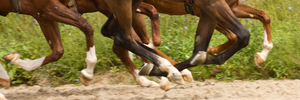 Photo / Thinkstock