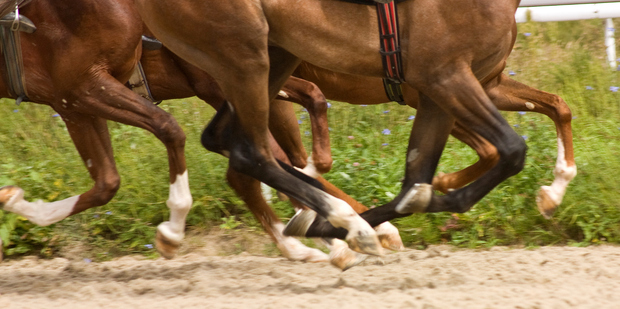 Photo / Thinkstock