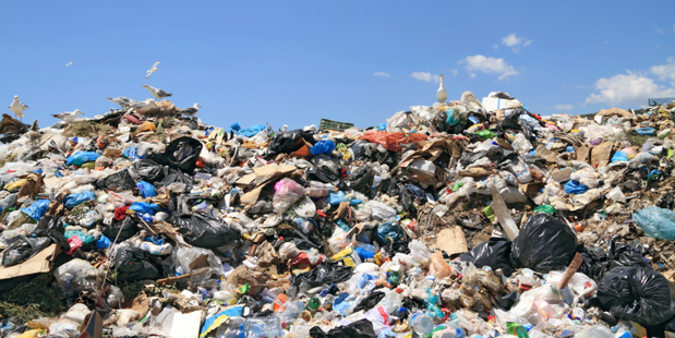 Dylan Thorne hates waste. Photo/Thinkstock