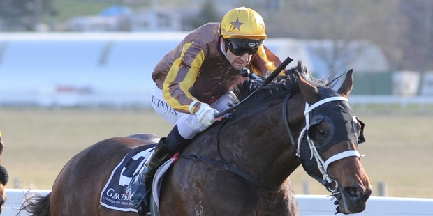 El Roca is the favourite for the Guineas but is coming off a seven-day back-up. Photo / Race Images
