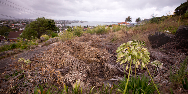 Block of land at number 14-30 Waimarie Street, St Heliers that is up for sale. Photo / Dean Purcell.