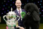 Two-year-old standard poodle Ricky with his handler Jason Lynn after winning Best In Show at the Crufts dog show in Birmingham.
Photo /AP Two-year-old standard poodle Ricky with his handler Jason Lynn after winning Best In Show at the Crufts dog show in Birmingham.
Photo /AP
