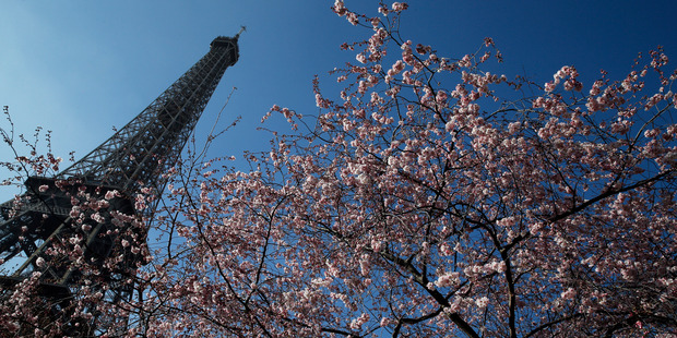 The Eiffel Tower, Paris. Picture / AP Images