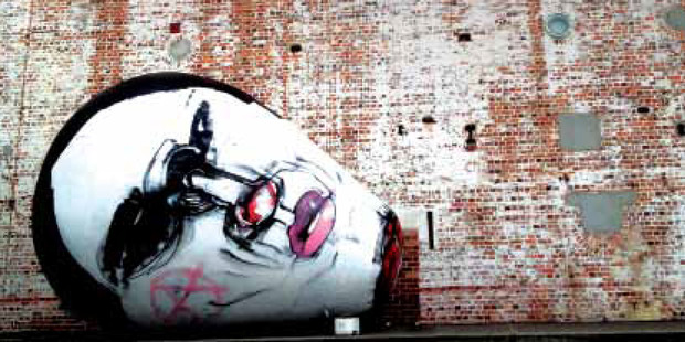 'The World Atlas of Street Art and Graffiti', by Rafael Schacter.