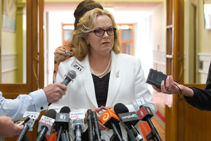 Justice Minister Judith Collins during her stand-up press conference where she revealed she had dinner with the head of Oravida. Photo / Mark Mitchell