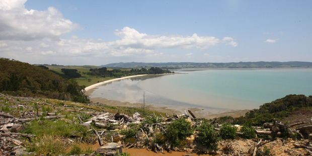 The Waitawa Regional Park. Photo / Chris Gorman