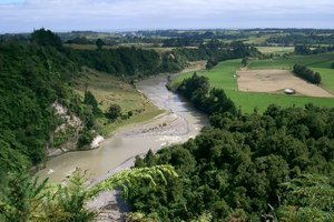 The disputed land is near the bank of Taranaki's Waitara River. File photo / NZ Herald