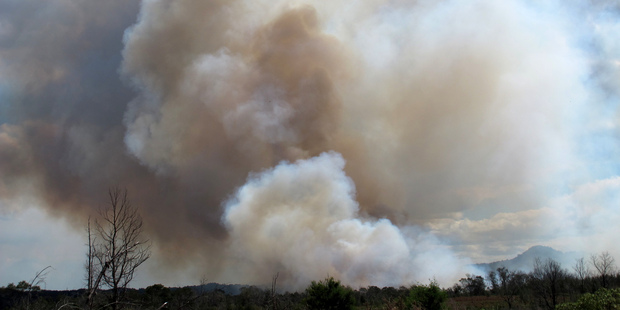 A huge column of smoke rising over Taheke this afternoon. PHOTO / Peter de Graaf