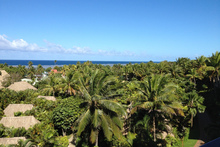 The lush gardens at Pure Fiji. Photo / Supplied.